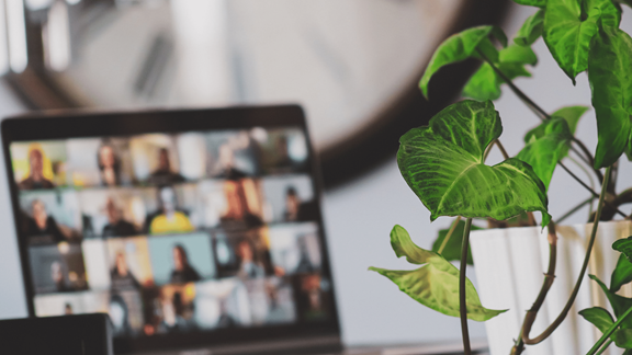 Photo of online meeting with plants showing