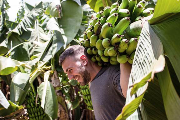 Man in banana field