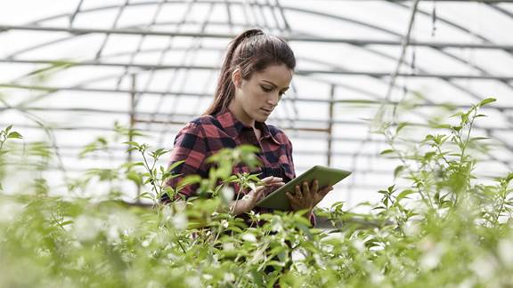 Woman looking at an iPad in a large greenhouse