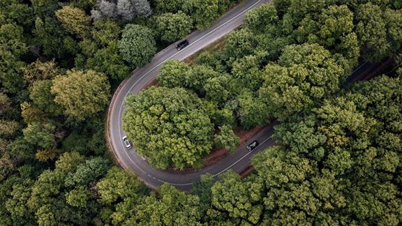 Aerial photograph of cars driving through forest