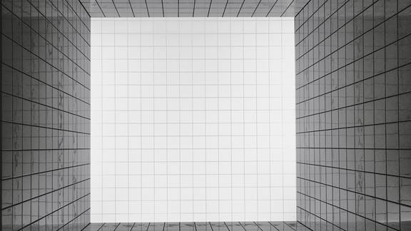 White grid