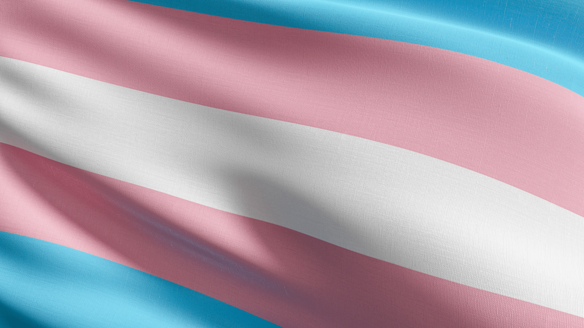 Trans flag