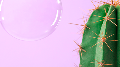 Cacti with bubble on pink background