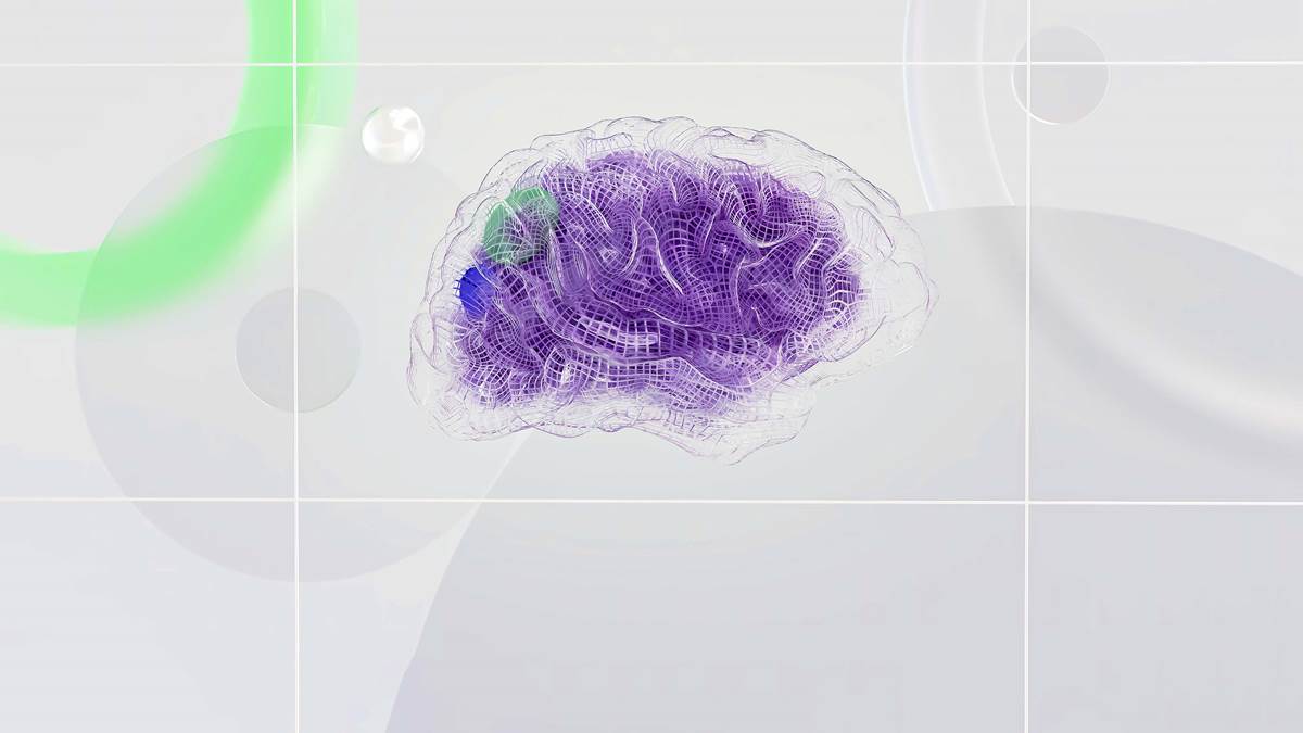 see through brain