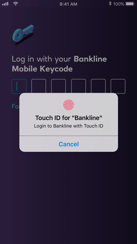 Natwest Bankline Mobile App development