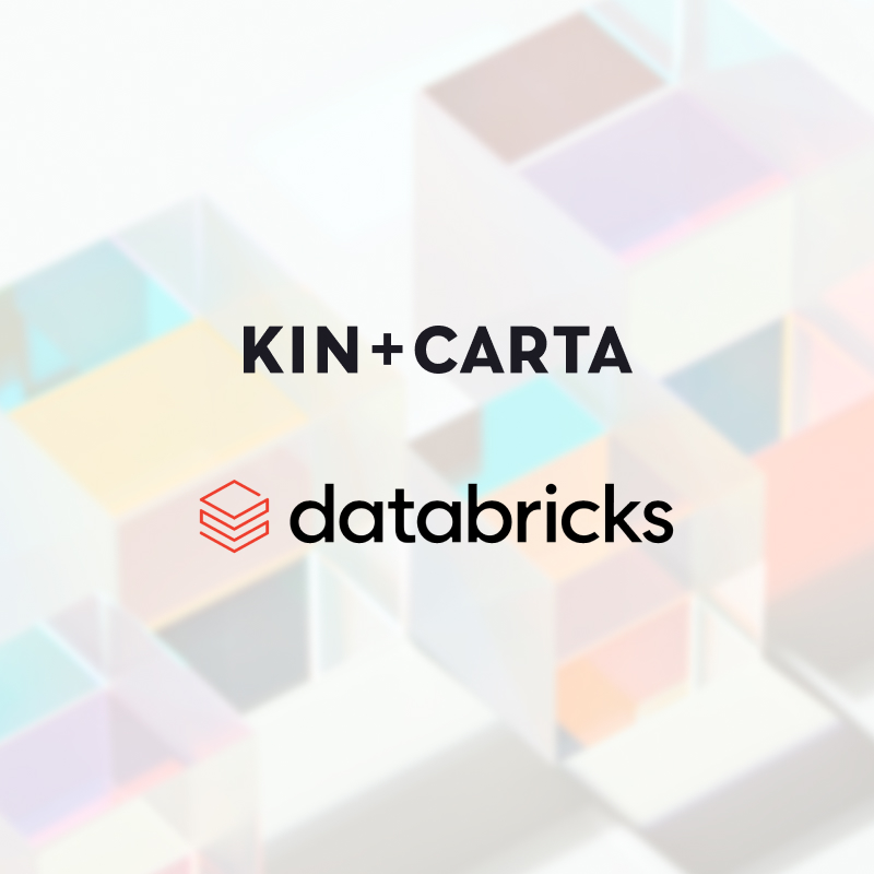 Databricks partner