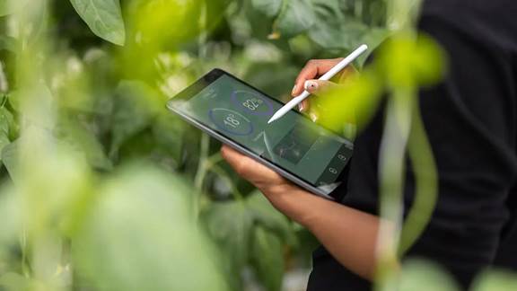 Woman looking at numbers in a tablet in a greenhouse