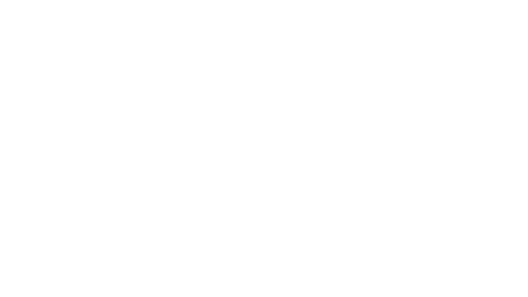 Lexus logo white