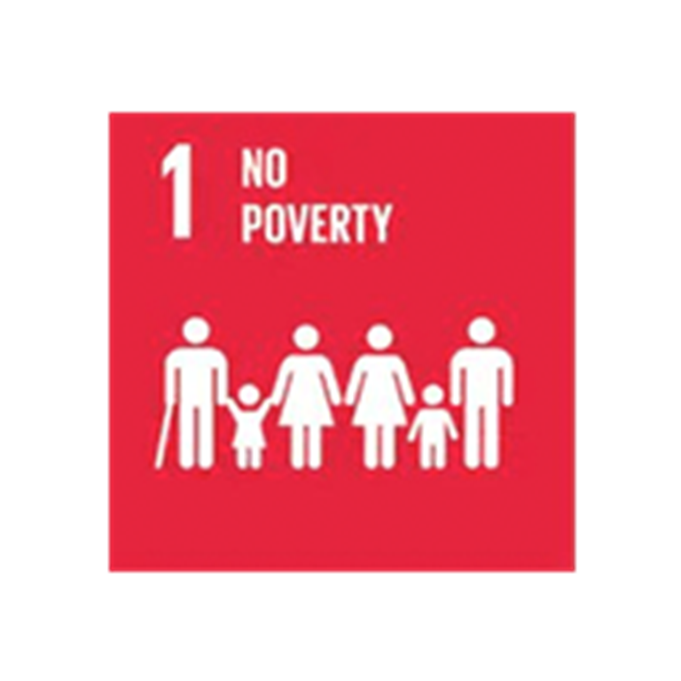 No poverty icon
