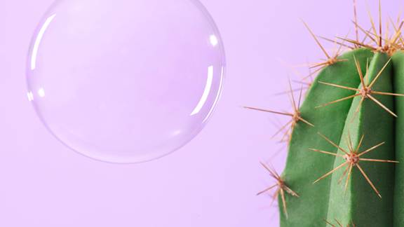 Soap bubble about to be popped by a cactus